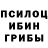 Псилоцибиновые грибы мицелий JuanPa.H,simples