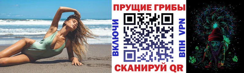 Купить закладки Видное Псилоцибиновые грибы Cubensis